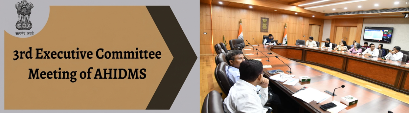 3rd Executive Committee Meeting of AHIDMS